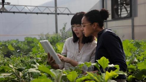 bayer anunta progresul unor proiecte cheie inovatoare